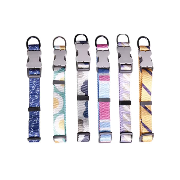 Pawfect Digital Print Collar