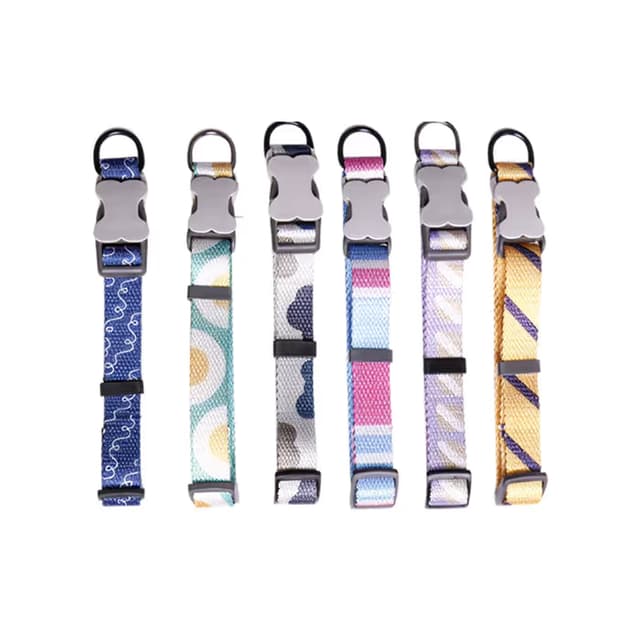 Pawfect Digital Print Collar