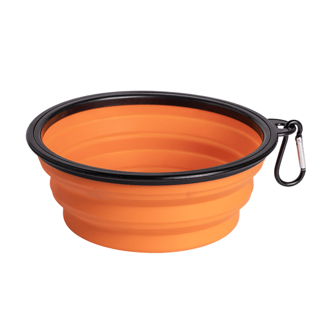 Pawfect Folding Bowl with Border